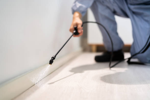 Licensed Rodent Control service in Ellensburg, WA - Nex Pest Control