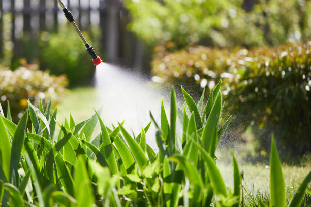 24/7 Emergency Rodent Control experts in Ellensburg, WA