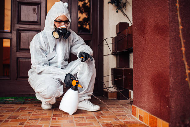 Reliable Rodent Control contractor in Ellensburg, WA by Nex Pest Control