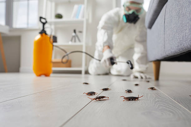Trusted Cockroach Control service in Ellensburg, WA - Nex Pest Control