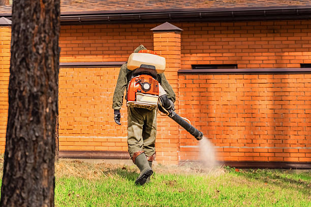 Trusted Ant Control service in Ellensburg, WA - Nex Pest Control